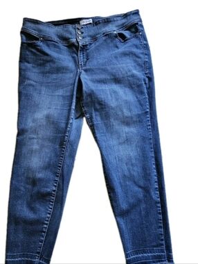 Lane Bryant Women's Hi Rise Denim Raw Hem Jeggings Size 22
